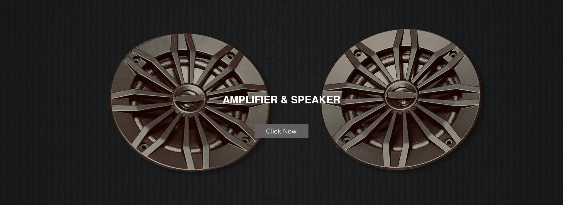 Speaker and Amplifier